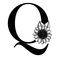 q naam ki dp